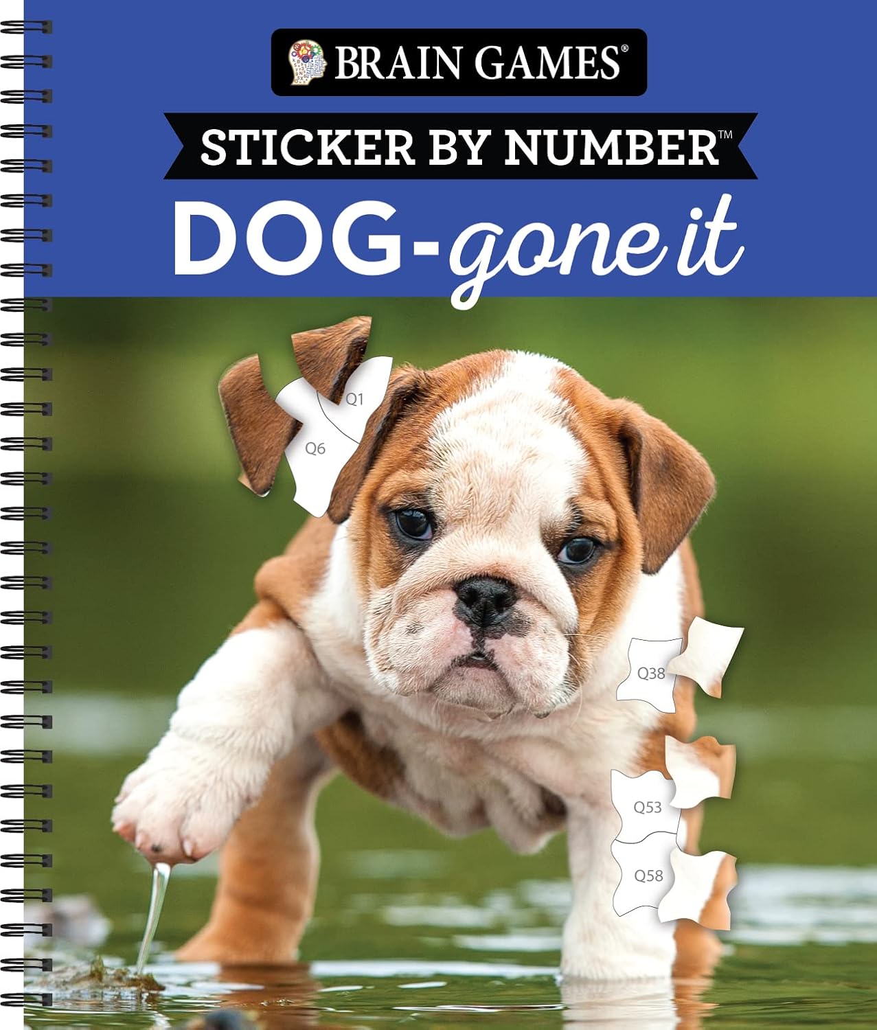 Brain Games - Sticker by Number: Dog-Gone It (28 Images to Sticker) baixar livro de graça