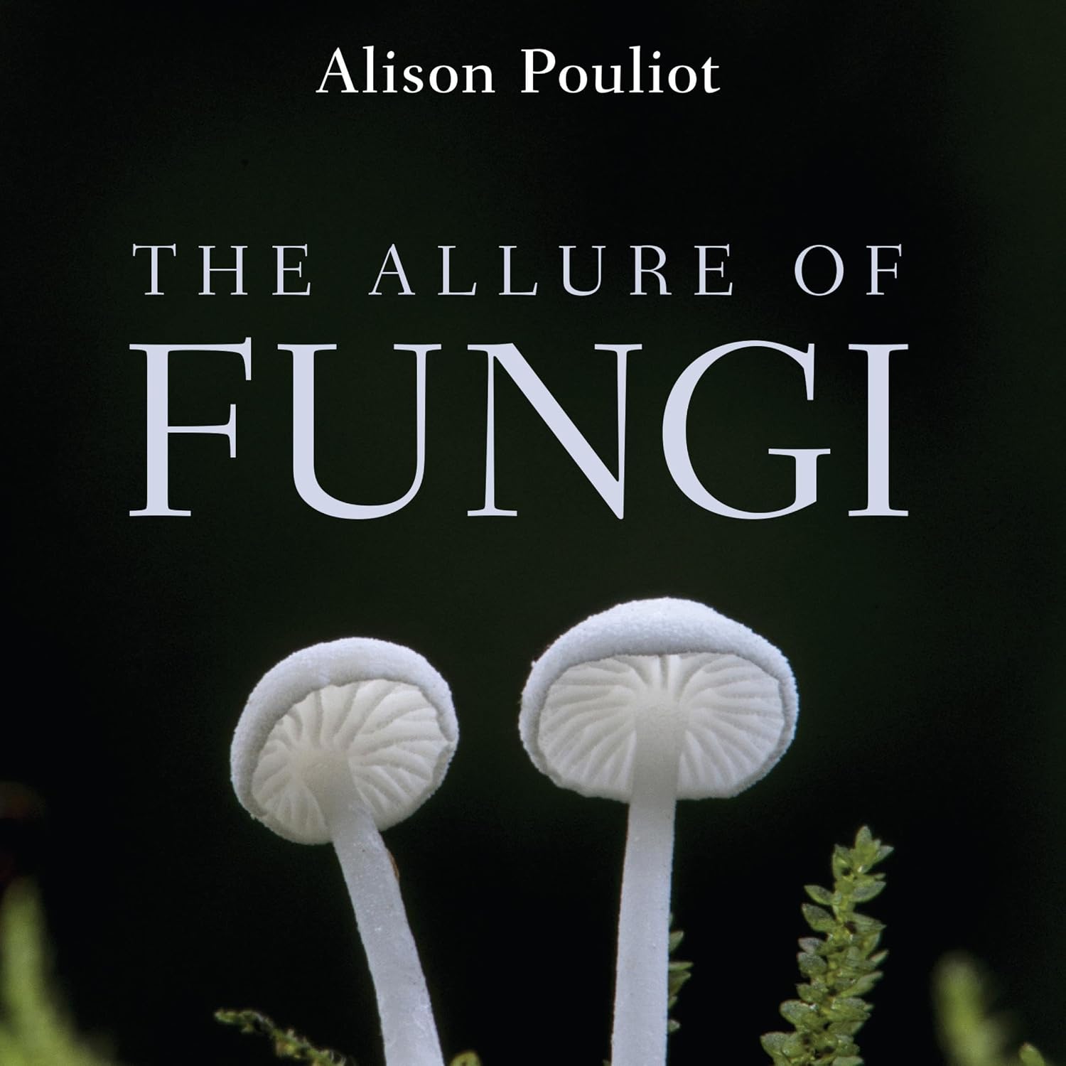 The Allure of Fungi baixar o livro de graça