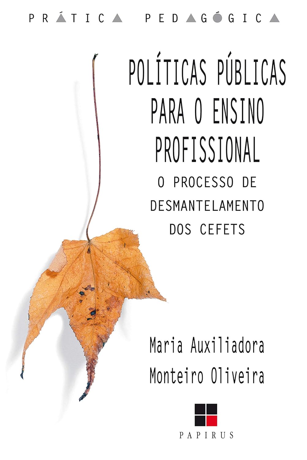 Políticas públicas para o ensino profissional (Prática pedagógica) baixar livro de graça