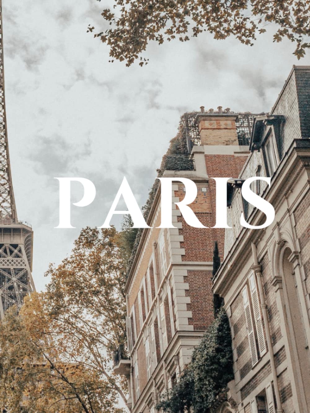 Paris - A Beautiful decorative Book: Stacks beautifully on Coffee tables, End Tables and Bookshelves baixar o livro de graça