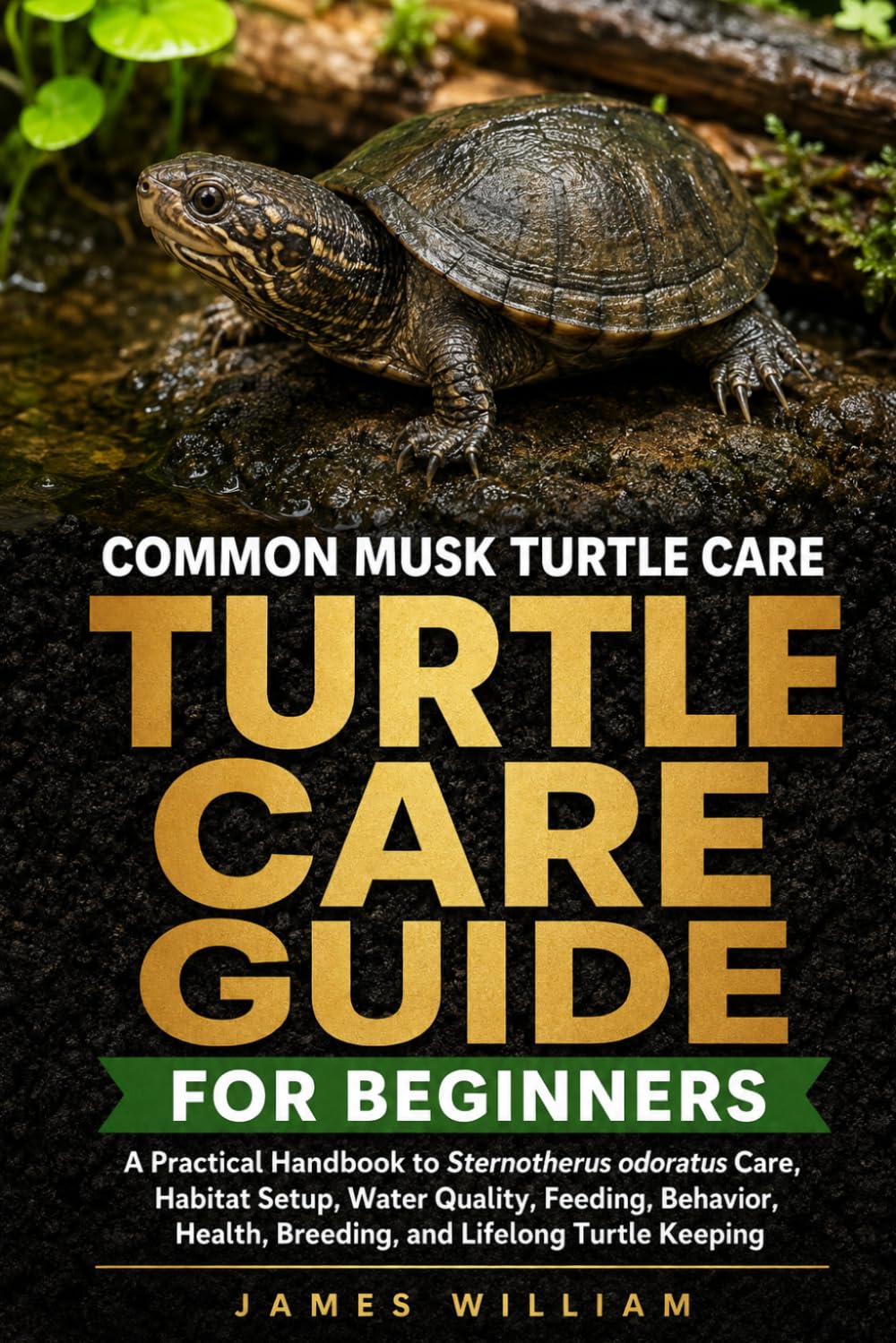 COMMON MUSK TURTLE CARE GUIDE FOR BEGINNERS: A Practical Handbook to Sternotherus odoratus Care, Habitat Setup, Water Quality, Feeding, Behavior, Health, Breeding, and Lifelong Turtle Keeping baixar o livro de graça