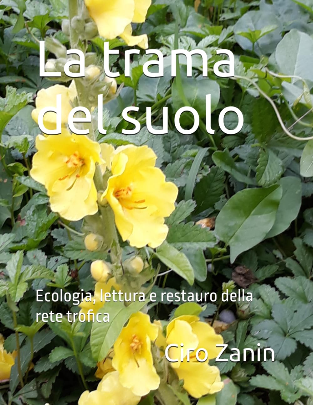 capítulo por capítulo baixar La trama del suolo: Ecologia, lettura e restauro della rete trofica (Fondamenti dell’Agricoltura Biologica Rigenerativa) (Italian Edition)