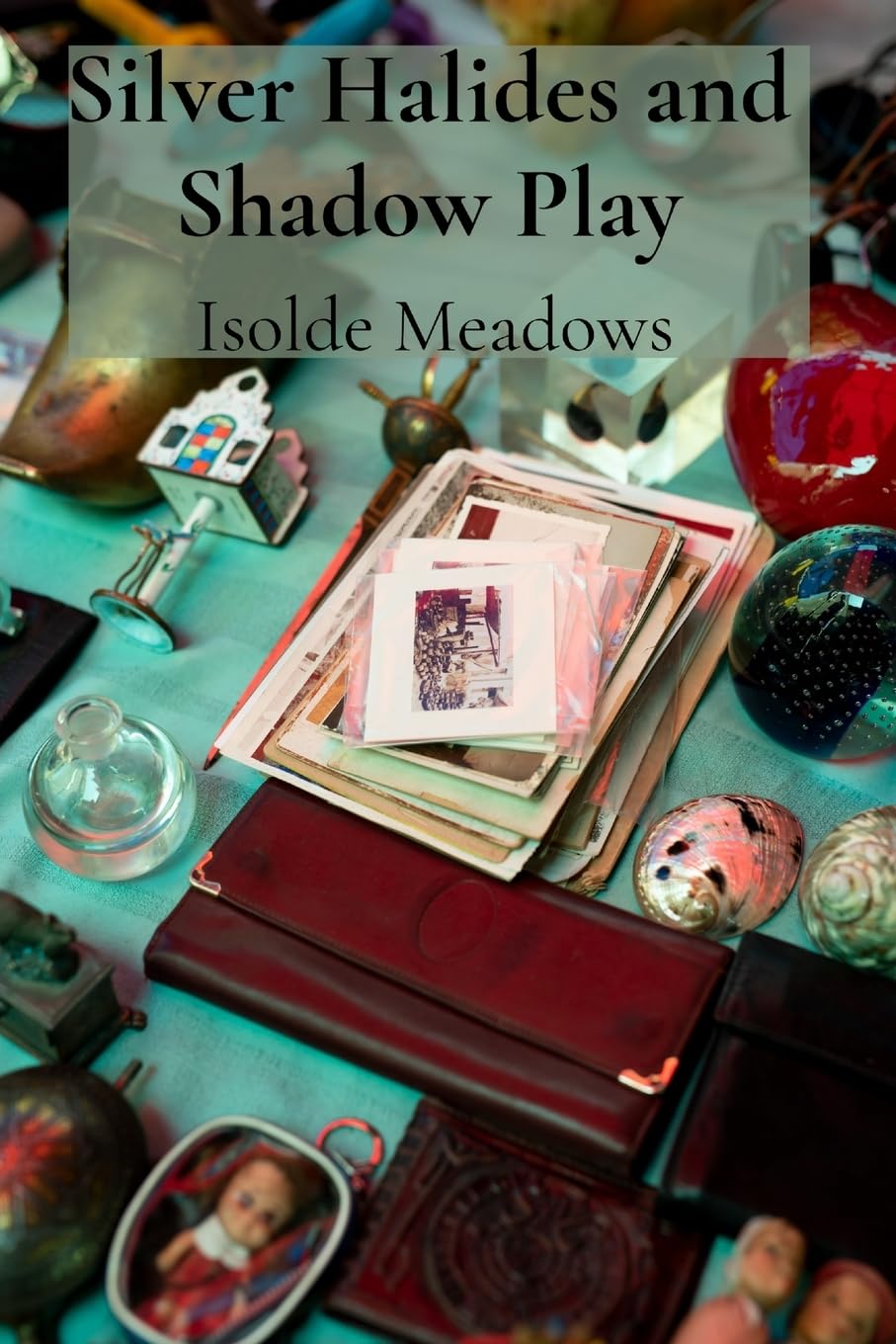 Silver Halides and Shadow Play: Collections of Photographs Exploring the Science and Poetry of Darkroom Processes baixar o livro de graça