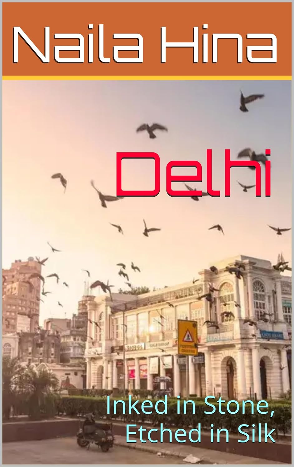 ler totalmente Delhi: Inked in Stone, Etched in Silk (India: A Tapestry of Time Book 2) (English Edition)