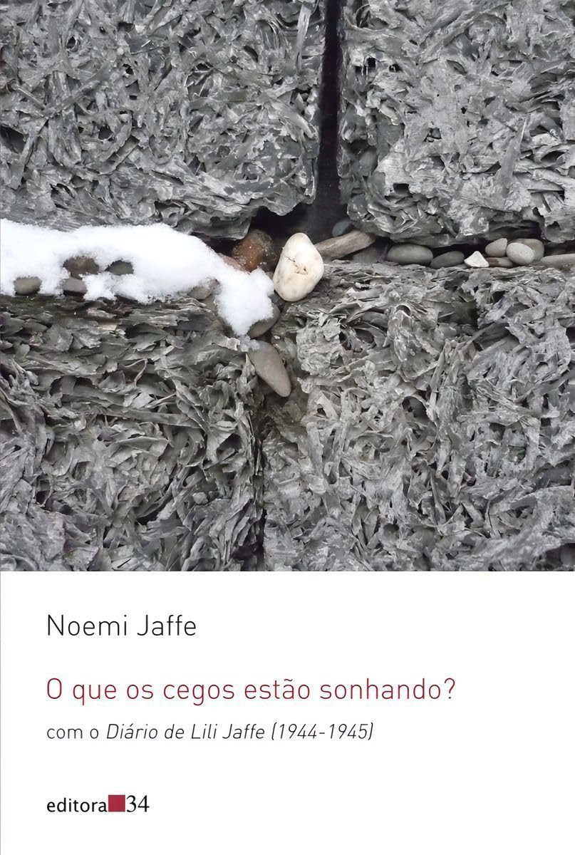 O que os cegos estão sonhando?: com o Diário de Lili Jaffe (1944-1945) baixar livro de graça