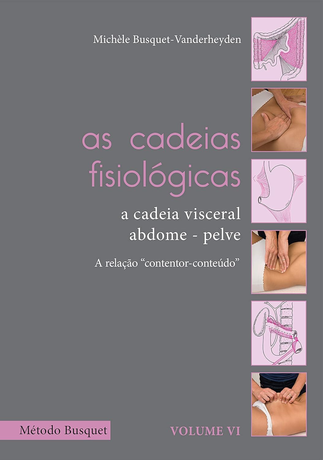 capítulo por capítulo baixar As cadeias fisiológicas- a cadeia visceral: abdome-pelve: descrição de tratamento