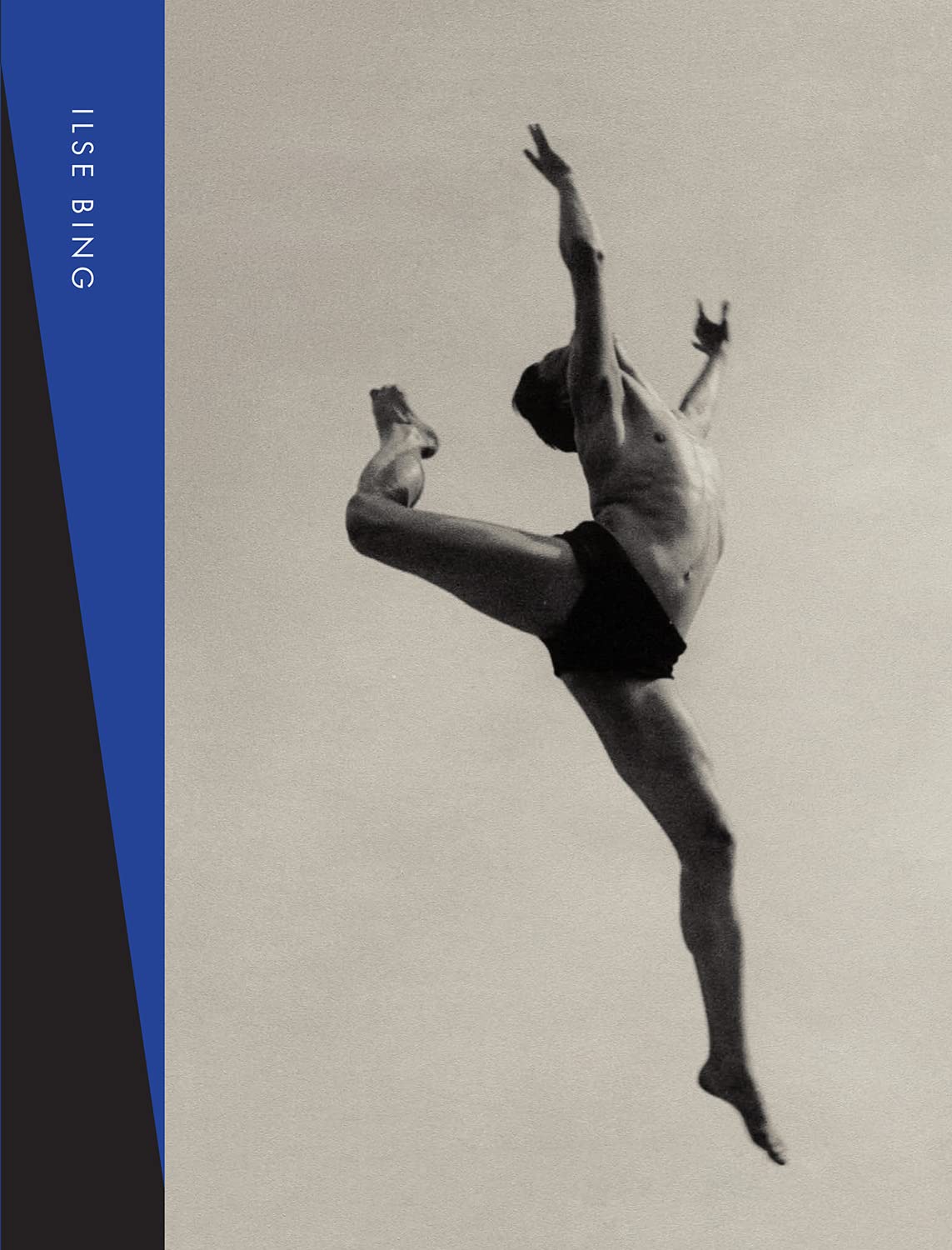 capítulo por capítulo baixar Ilse Bing