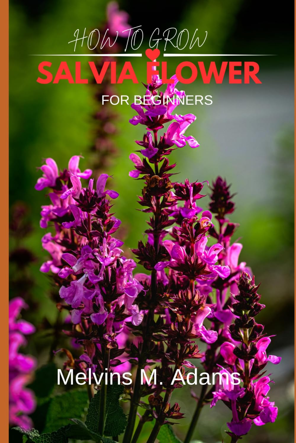How to grow Salvia for beginners: The Ultimate Beginner's Guide to Growing, Caring for, and Harvesting Stunning Salvia at Home and garden baixar livro de graça