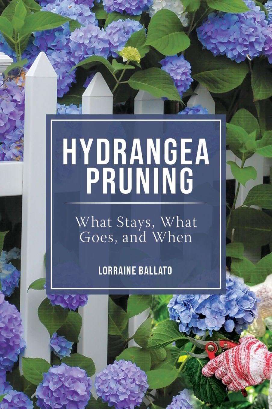 Hydrangea Pruning: What Stays, What Goes, and When
