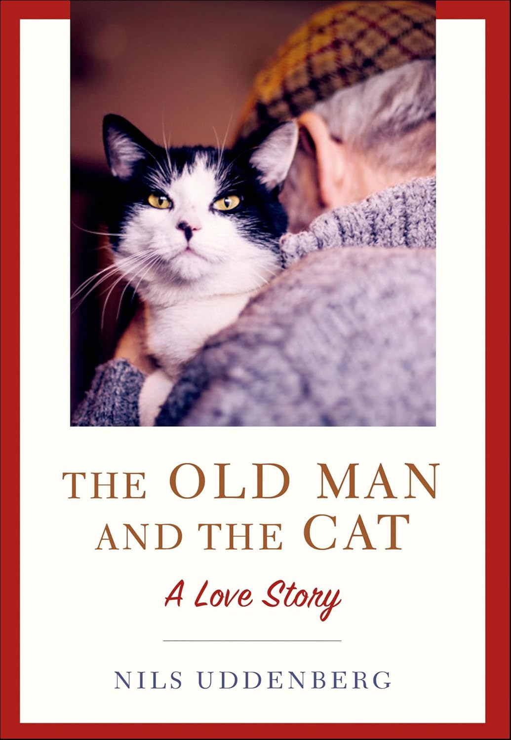 The Old Man and the Cat: A Love Story (English Edition) baixar livro de graça