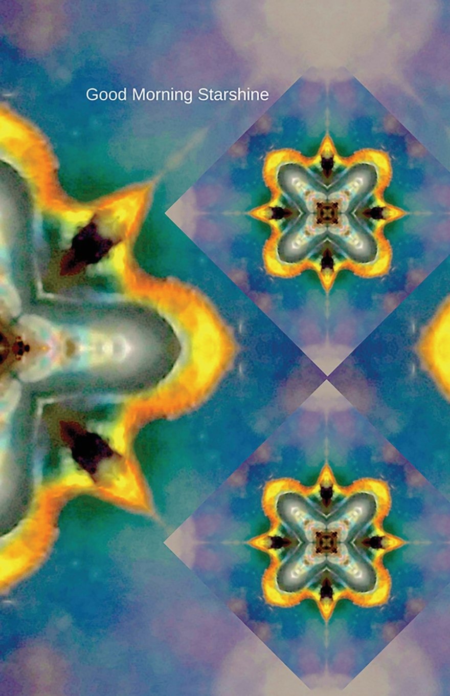 Good Morning Starshine: Journal baixar livro de graça