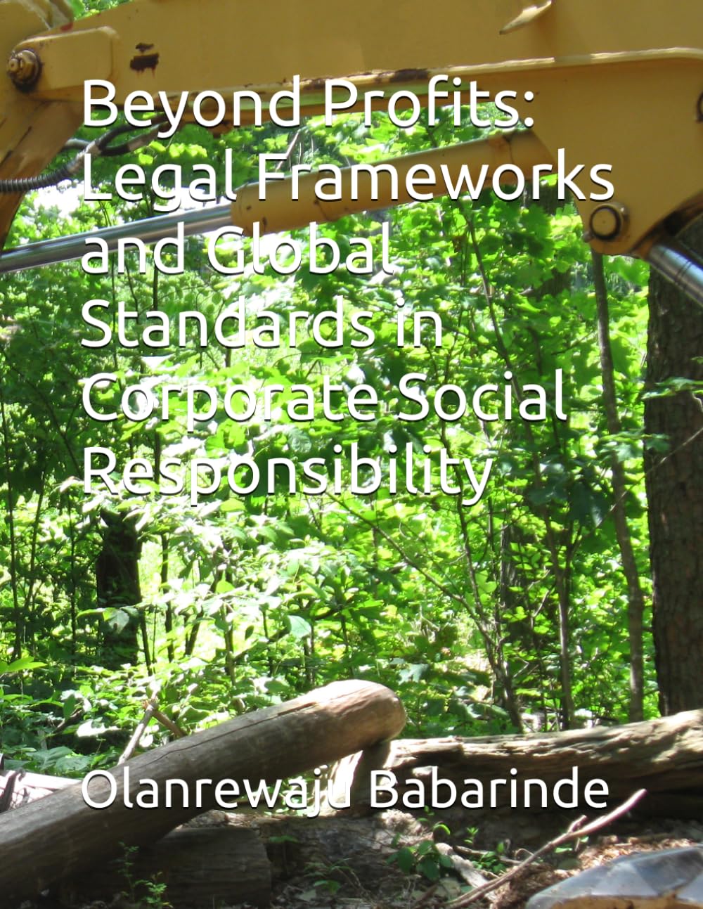 ler totalmente Beyond Profits: Legal Frameworks and Global Standards in Corporate Social Responsibility
