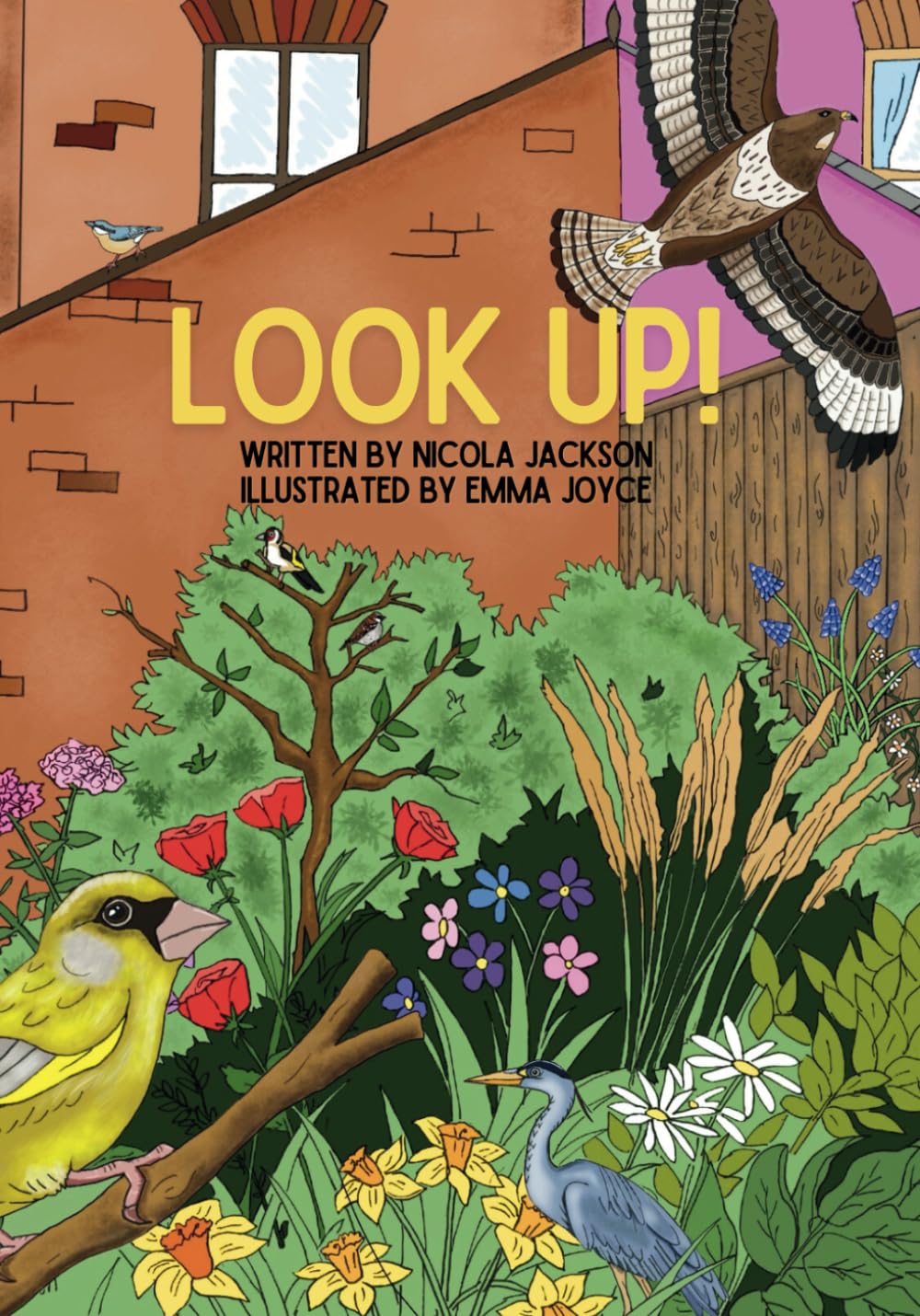ler totalmente Look Up!