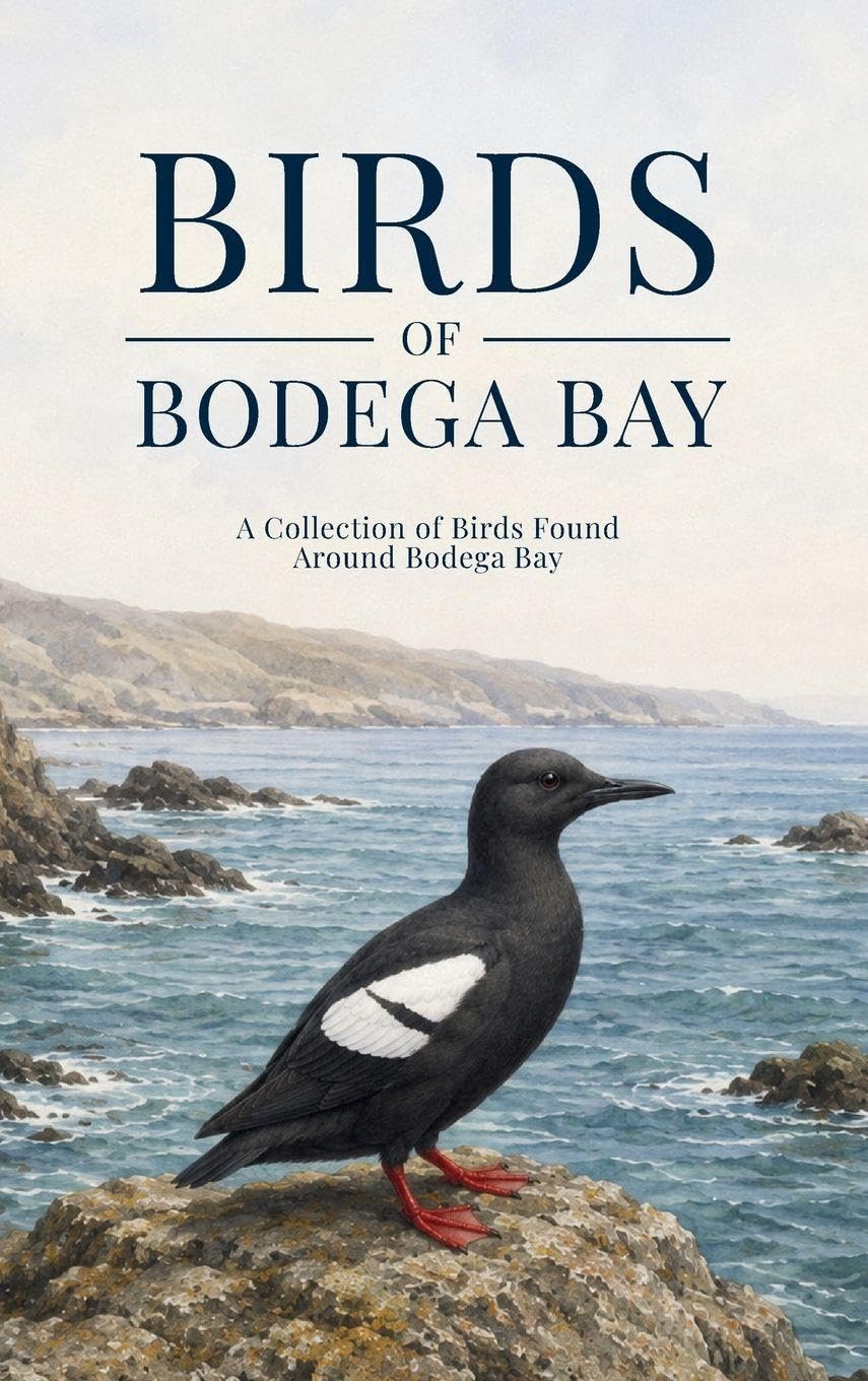 ler totalmente Birds of Bodega Bay: A Collection of Birds Found Around Bodega Bay