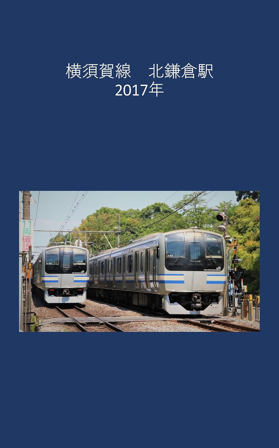 Yokosuka Line Kita-Kamakura Station 2017 (Japanese Edition) baixar o livro de graça