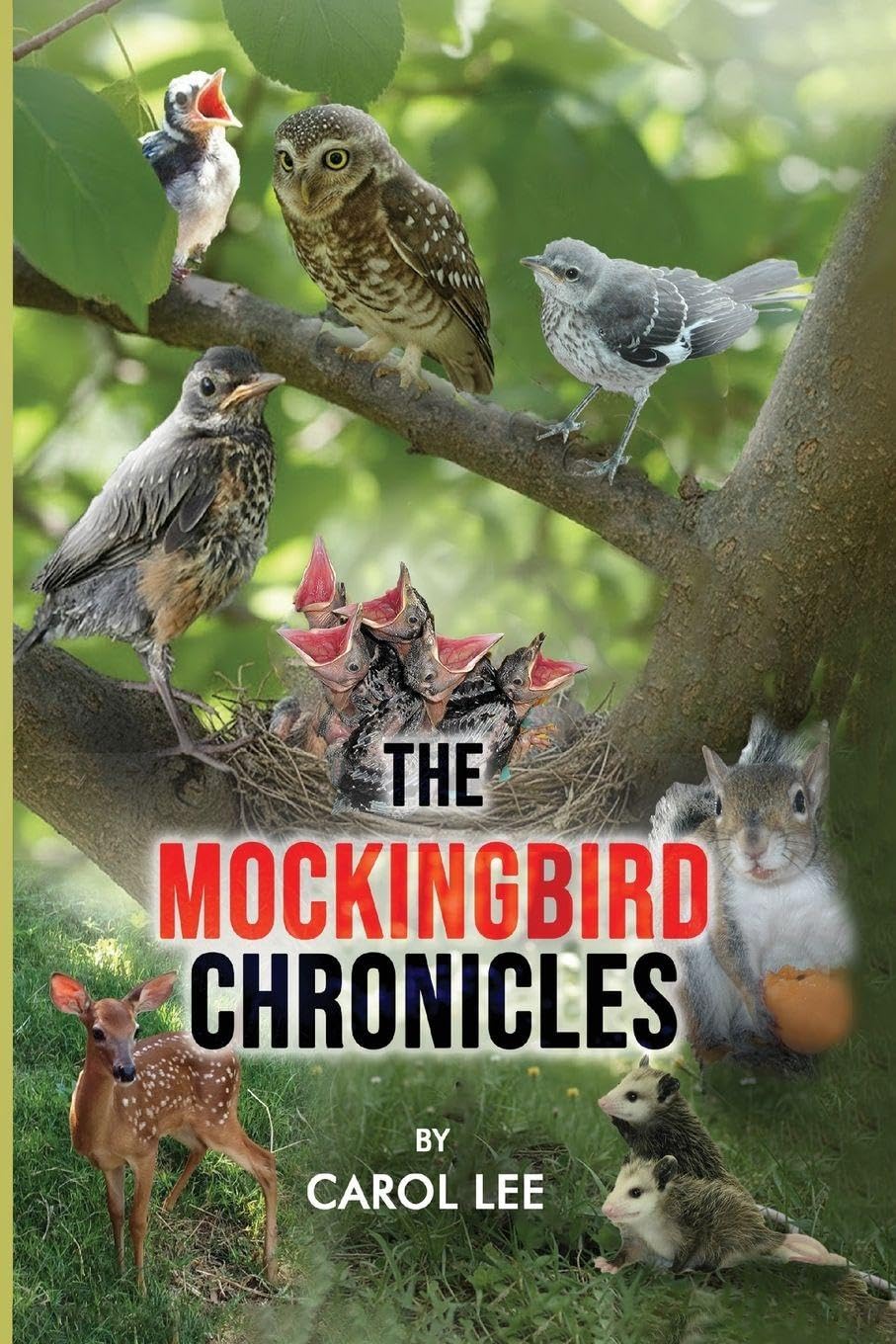 The Mockingbird Chronicles: The Early Days of a Wildlife Rehabilitation Center baixar livro de graça