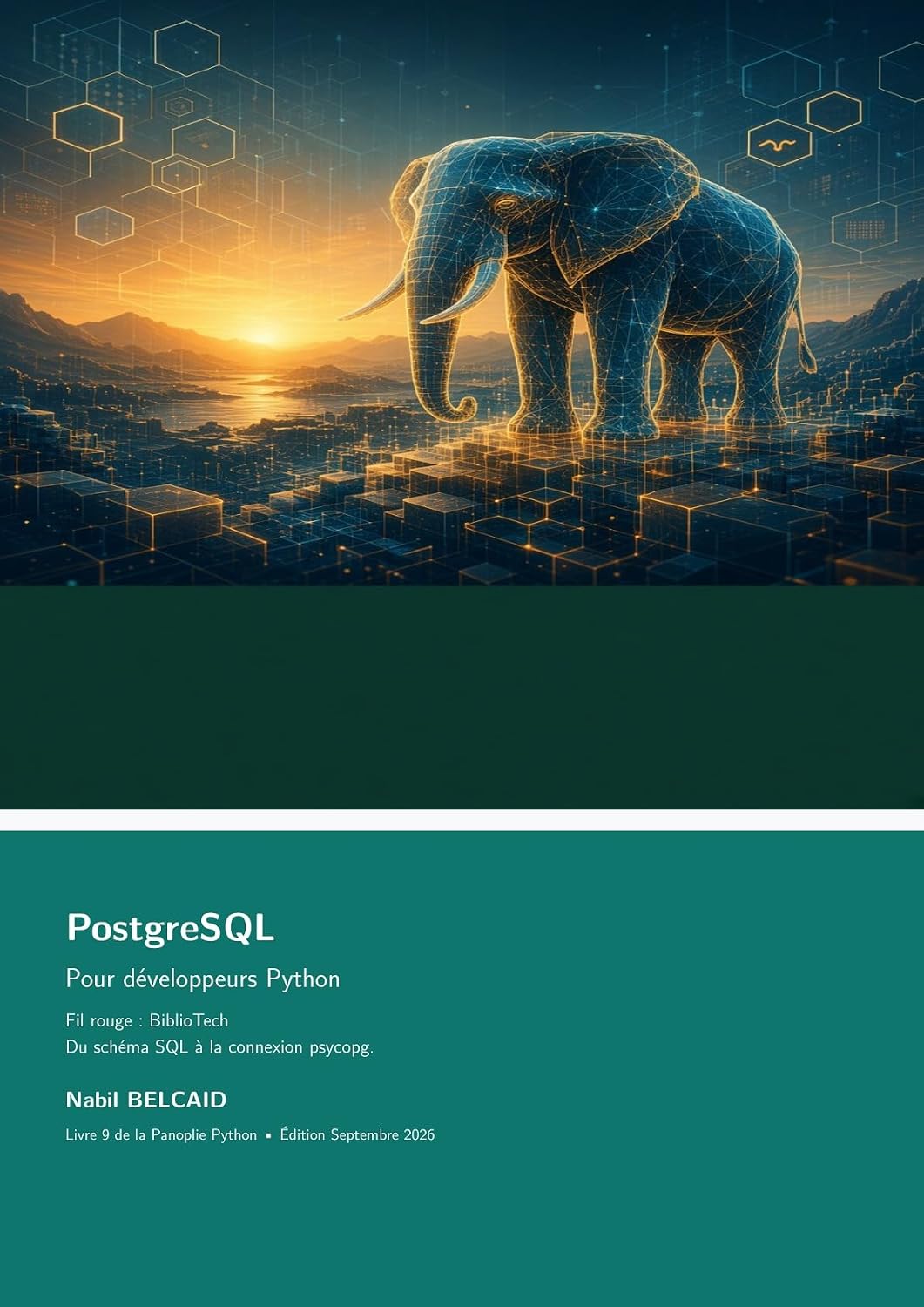 capítulo por capítulo baixar PostgreSQL Pour développeurs Python (La Panoplie Du Développeur Python t. 9) (French Edition)