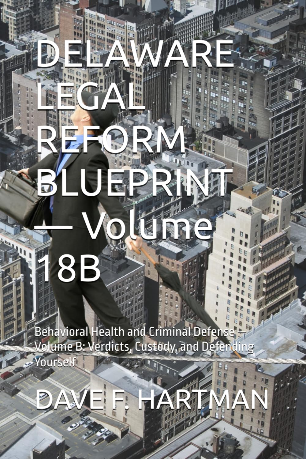 DELAWARE LEGAL REFORM BLUEPRINT — Volume 18B: Behavioral Health and Criminal Defense — Volume B: Verdicts, Custody, and Defending Yourself (Delaware Legal Reform Series) baixar o livro de graça