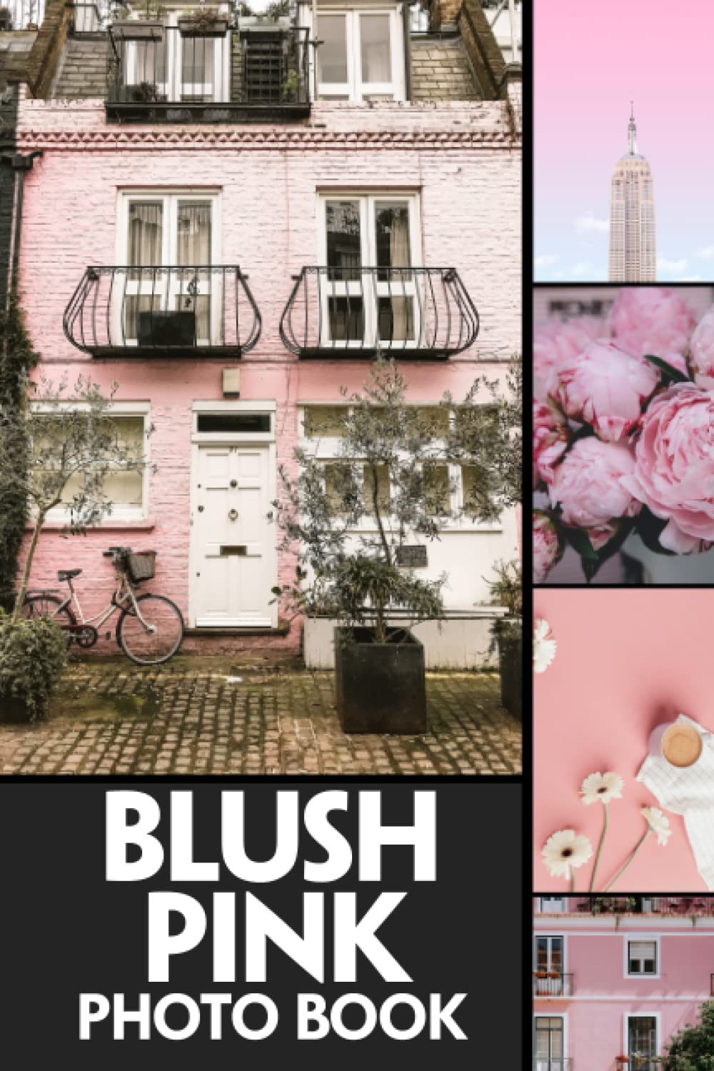 ler totalmente Blush Pink Photo Book: Pastel Colorful Pictures For All Ages To Have Fun And Relax | Gift Idea For Birthday