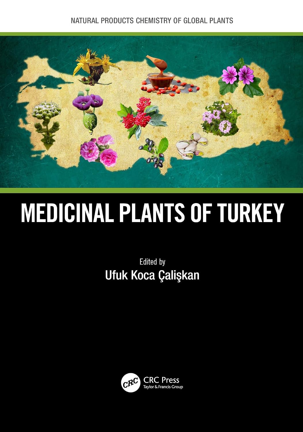 ler totalmente Medicinal Plants of Turkey (Natural Products Chemistry of Global Plants) (English Edition)