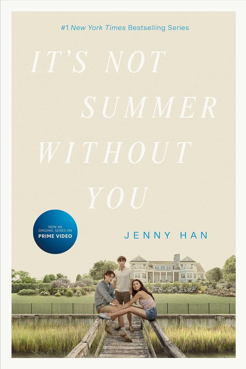 ler totalmente It's Not Summer Without You (The Summer I Turned Pretty Book 2) (English Edition)