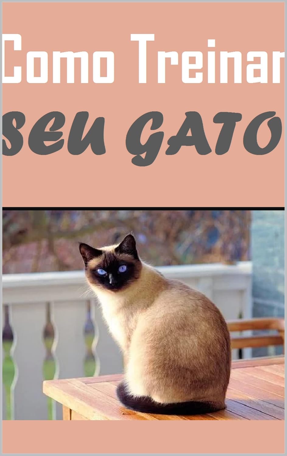 capítulo por capítulo baixar Como Treinar seu Gato