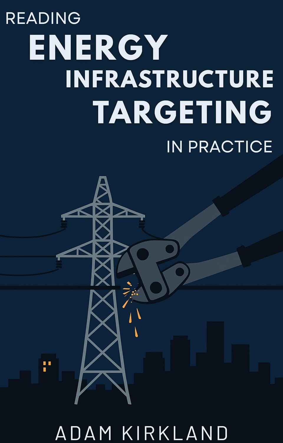 Reading Energy Infrastructure Targeting in Practice (English Edition)