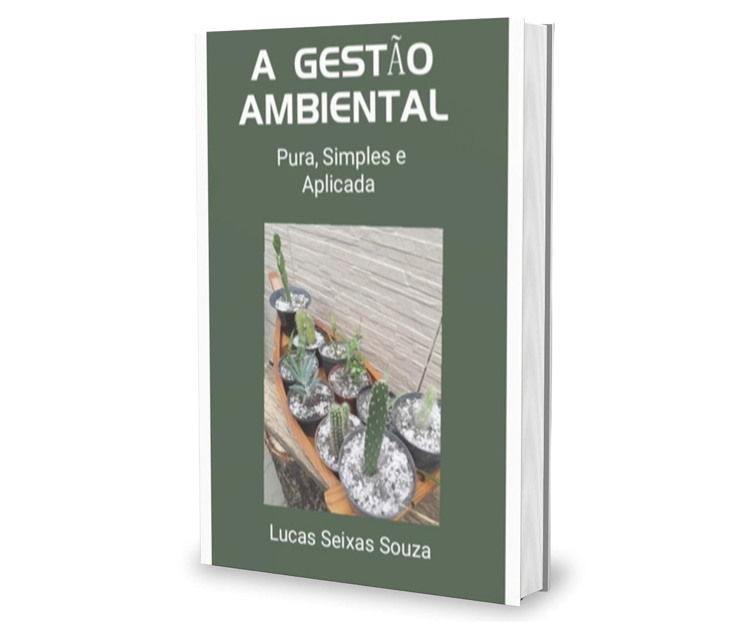 capítulo por capítulo baixar A Gestão Ambiental: Pura, Simples e Aplicada