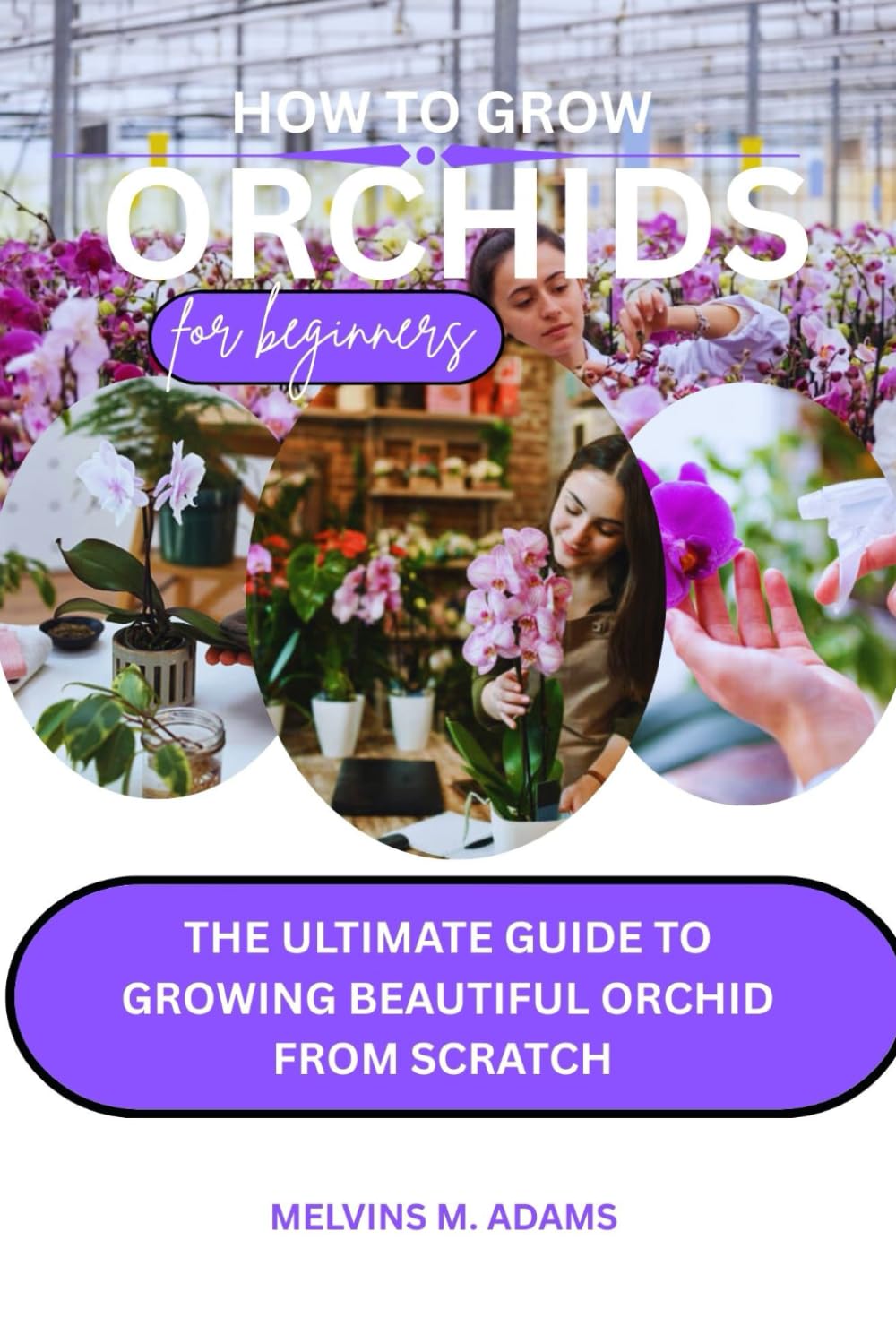 ler totalmente How to grow orchids for beginners: The ultimate guide to growing Beautiful Orchid from Scratch
