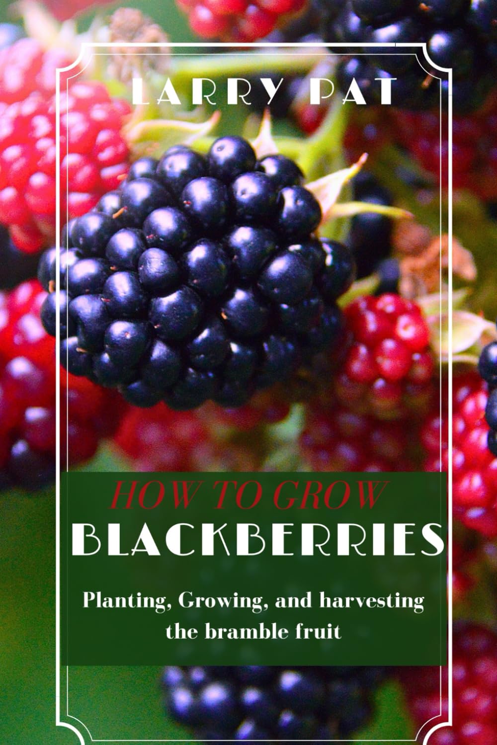How to Grow Blackberries: Planting, Growing, and harvesting the bramble fruit baixar o livro de graça