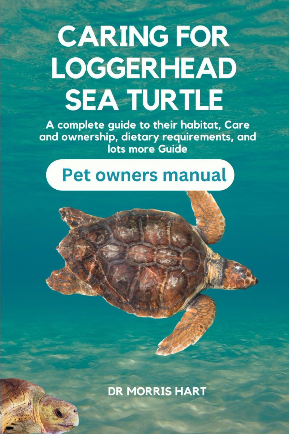Caring for Loggerhead Sea Turtle: A complete guide to their habitat, Care and ownership, dietary requirements, and lots more Guide baixar o livro de graça