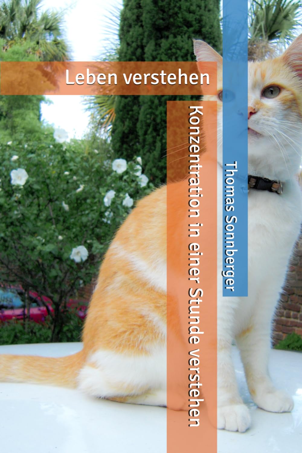 ler totalmente Konzentration in einer Stunde verstehen: Leben verstehen