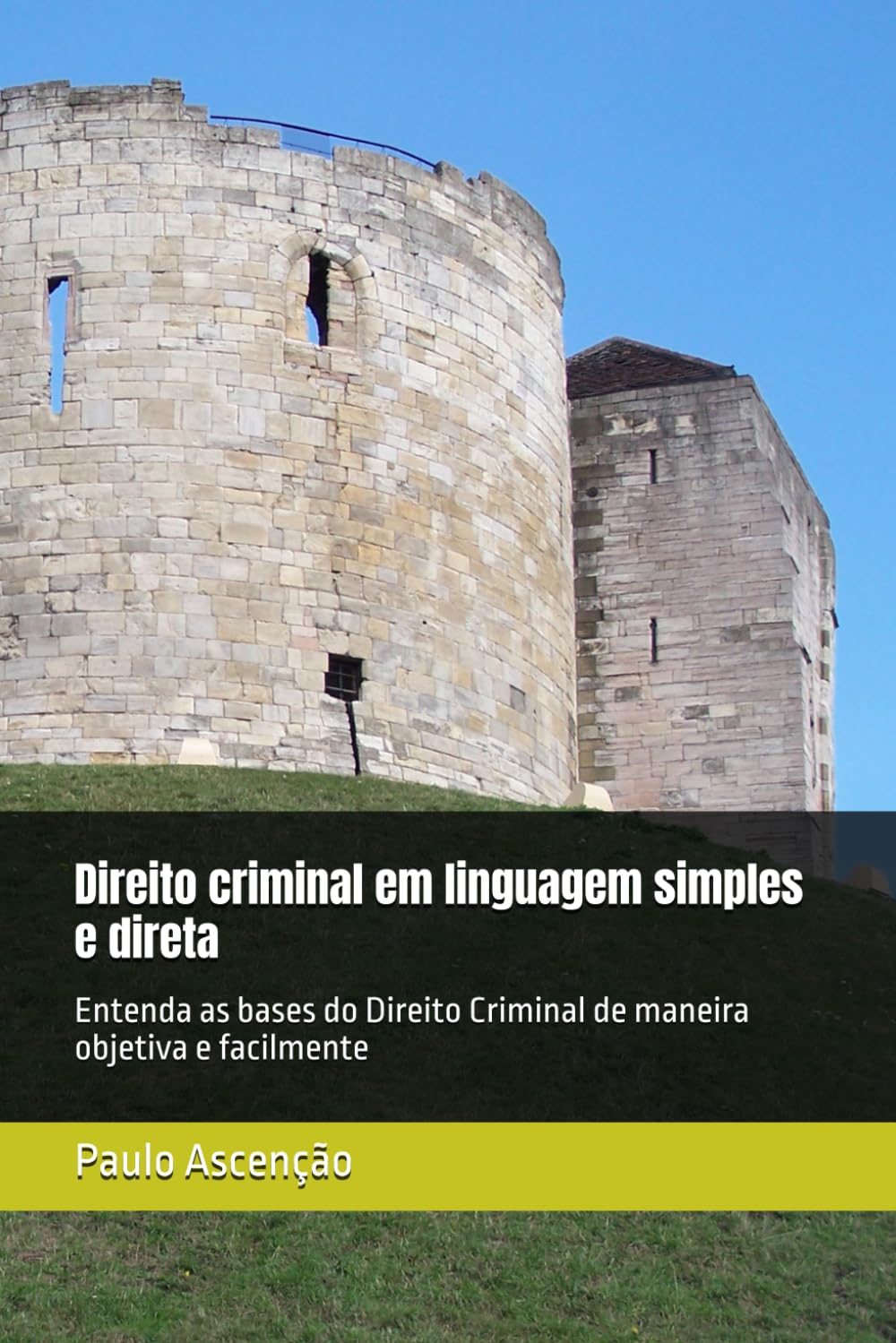 ler totalmente Direito criminal em linguagem simples e direta: Entenda as bases do Direito Criminal de maneira objetiva e facilmente