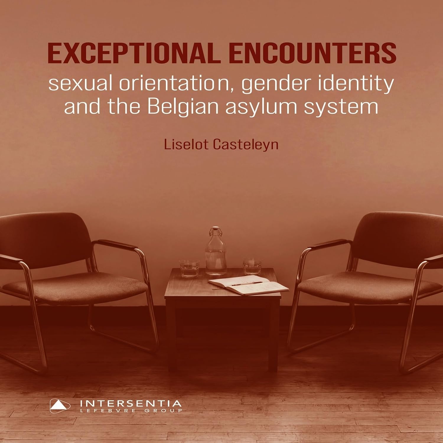 ler totalmente Exceptional Encounters: Sexual Orientation, Gender identity and the Belgian Asylum System (English Edition)