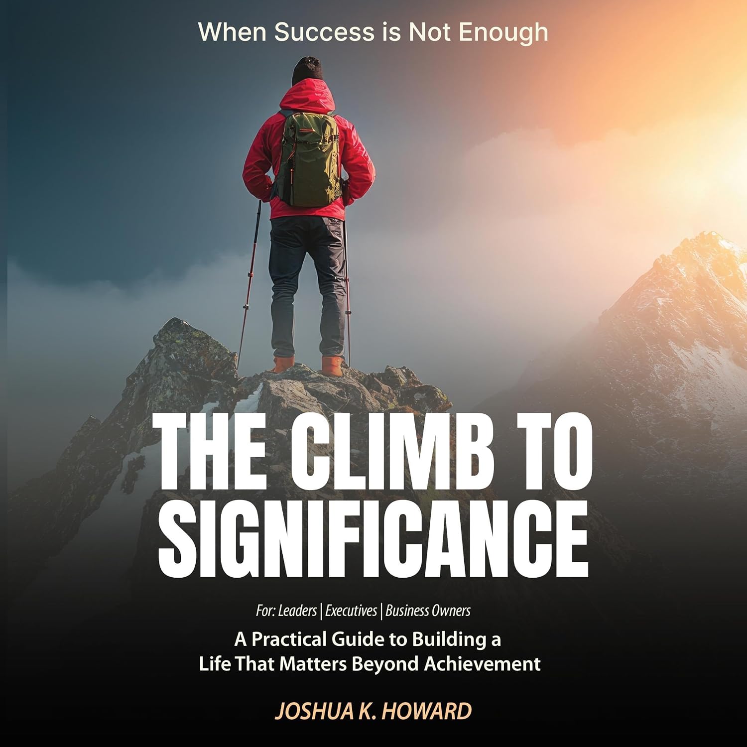 ler totalmente The Climb to Significance: When Success Is Not Enough