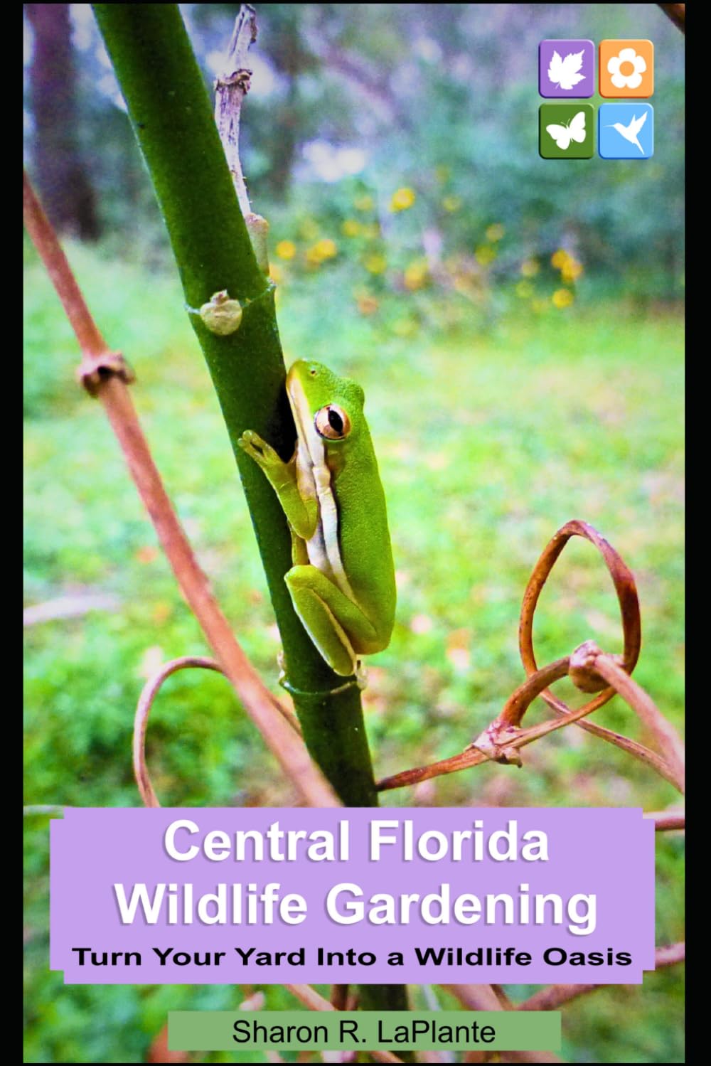 Central Florida Wildlife Landscaping: Turn Your Yard into a Wildlife Oasis baixar livro de graça