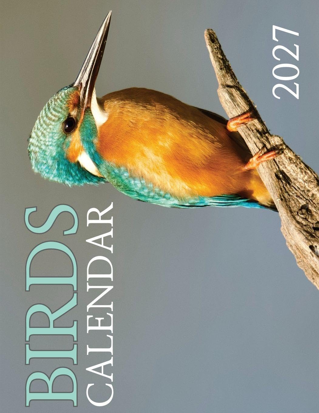 ler totalmente Birds 2027 Calendar
