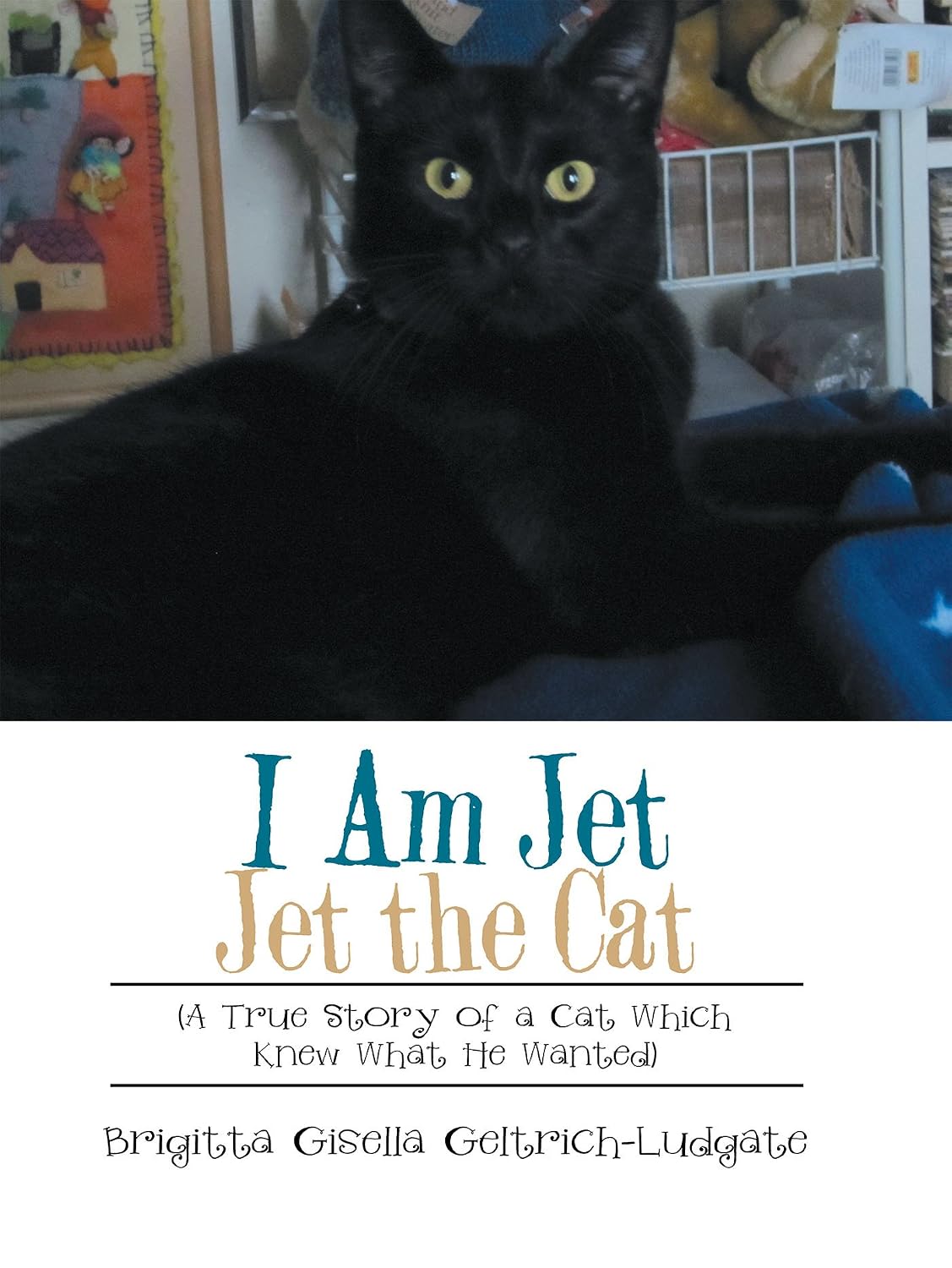I Am Jet Jet the Cat: (A True Story of a Cat Which Knew What He Wanted) (English Edition) baixar livro de graça