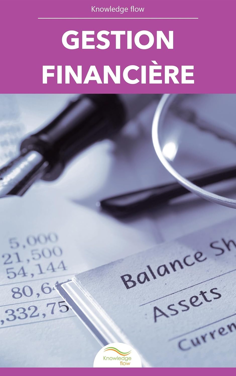 Gestion financière (Série Management et Affaires) (French Edition) baixar o livro de graça