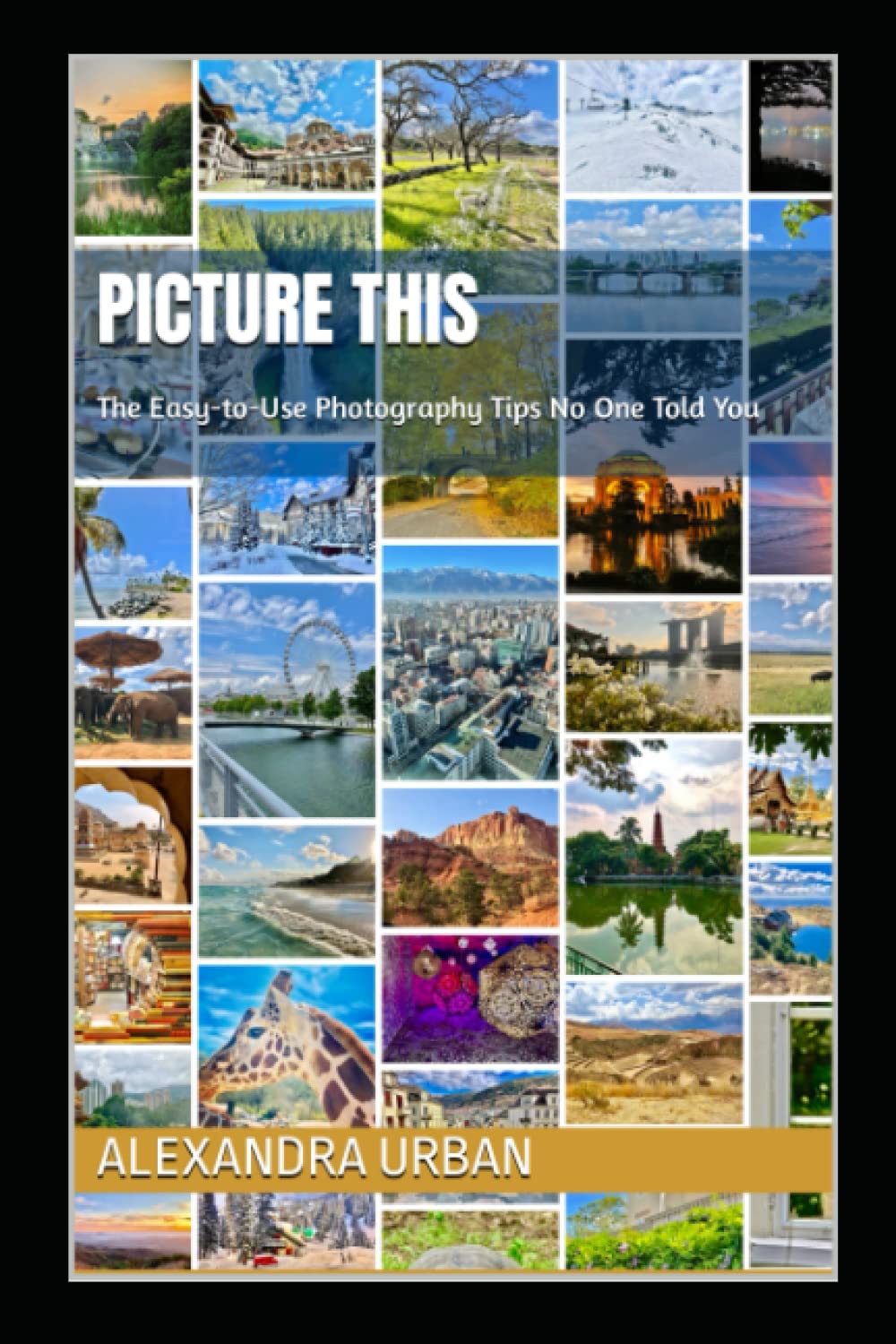 ler totalmente PICTURE THIS: The Easy-to-Use Photography Tips No One Told You