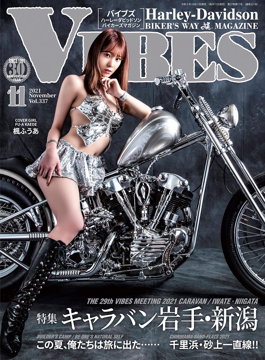 capítulo por capítulo baixar VIBES: volumeThreehundredthirtyseven (Japanese Edition)