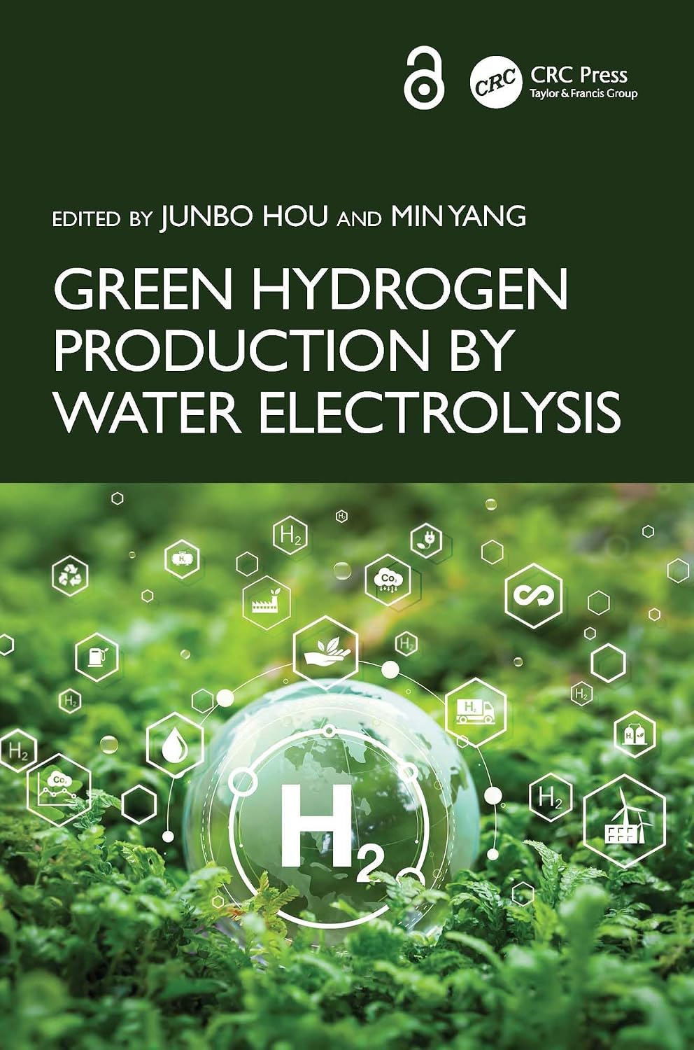 Green Hydrogen Production by Water Electrolysis (English Edition) baixar o livro de graça