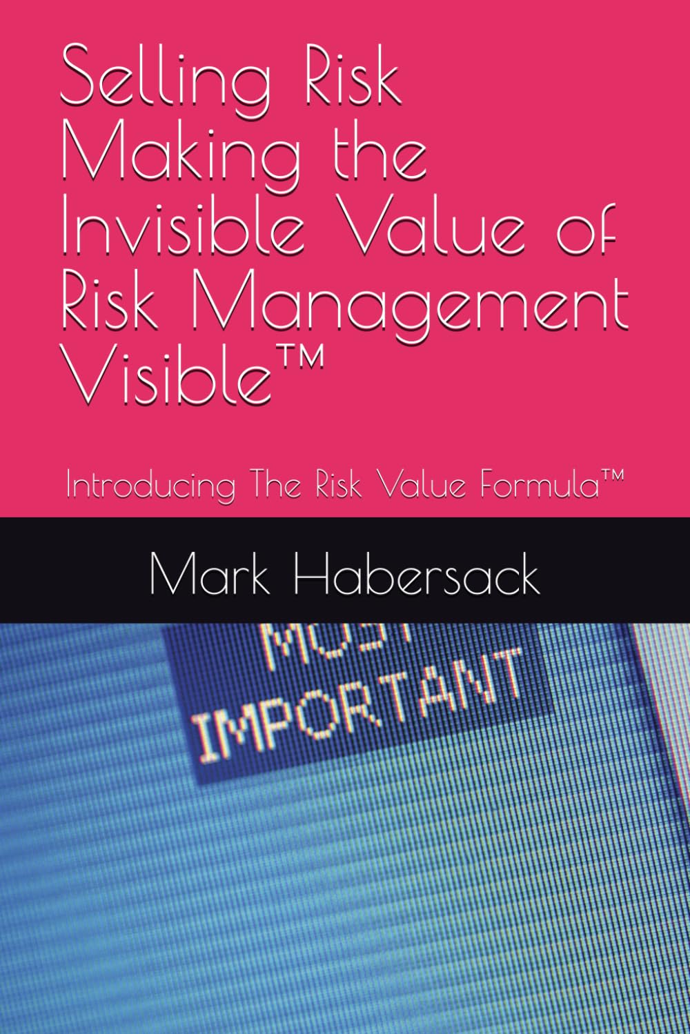 ler totalmente Selling Risk Making the Invisible Value of Risk Management Visible™: Introducing The Risk Value Formula™