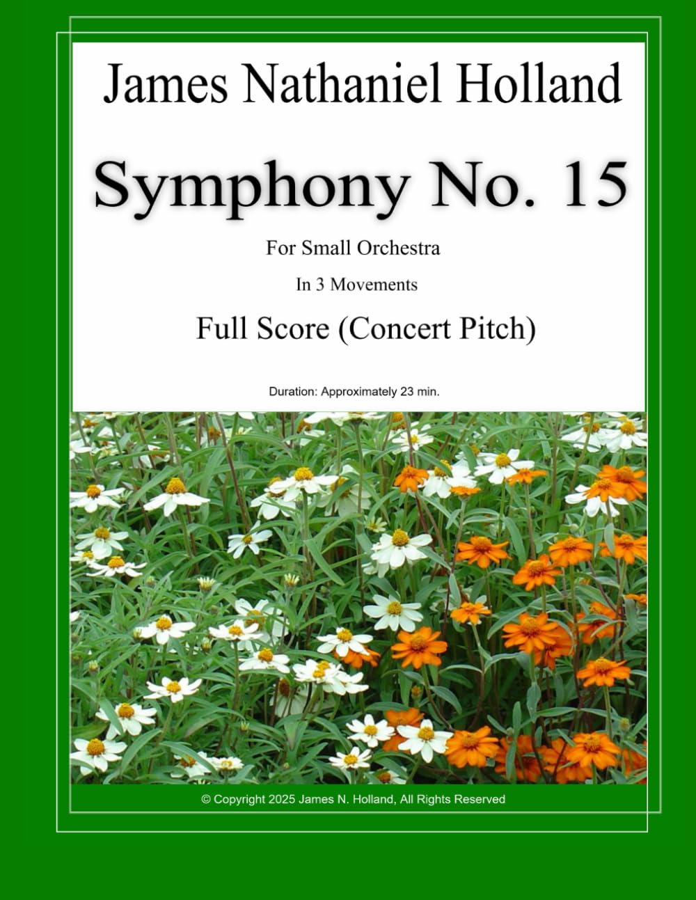 Symphony No. 15: Full Score (Concert Pitch) (Symphonies for Orchestra of James Nathaniel Holland) baixar o livro de graça