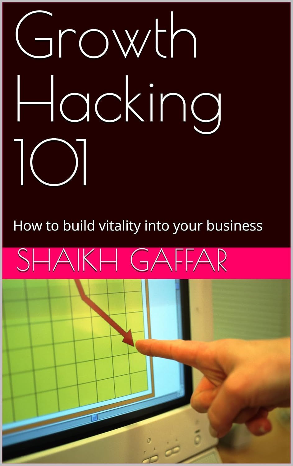 Growth Hacking 101: How to build vitality into your business (English Edition) baixar livro de graça