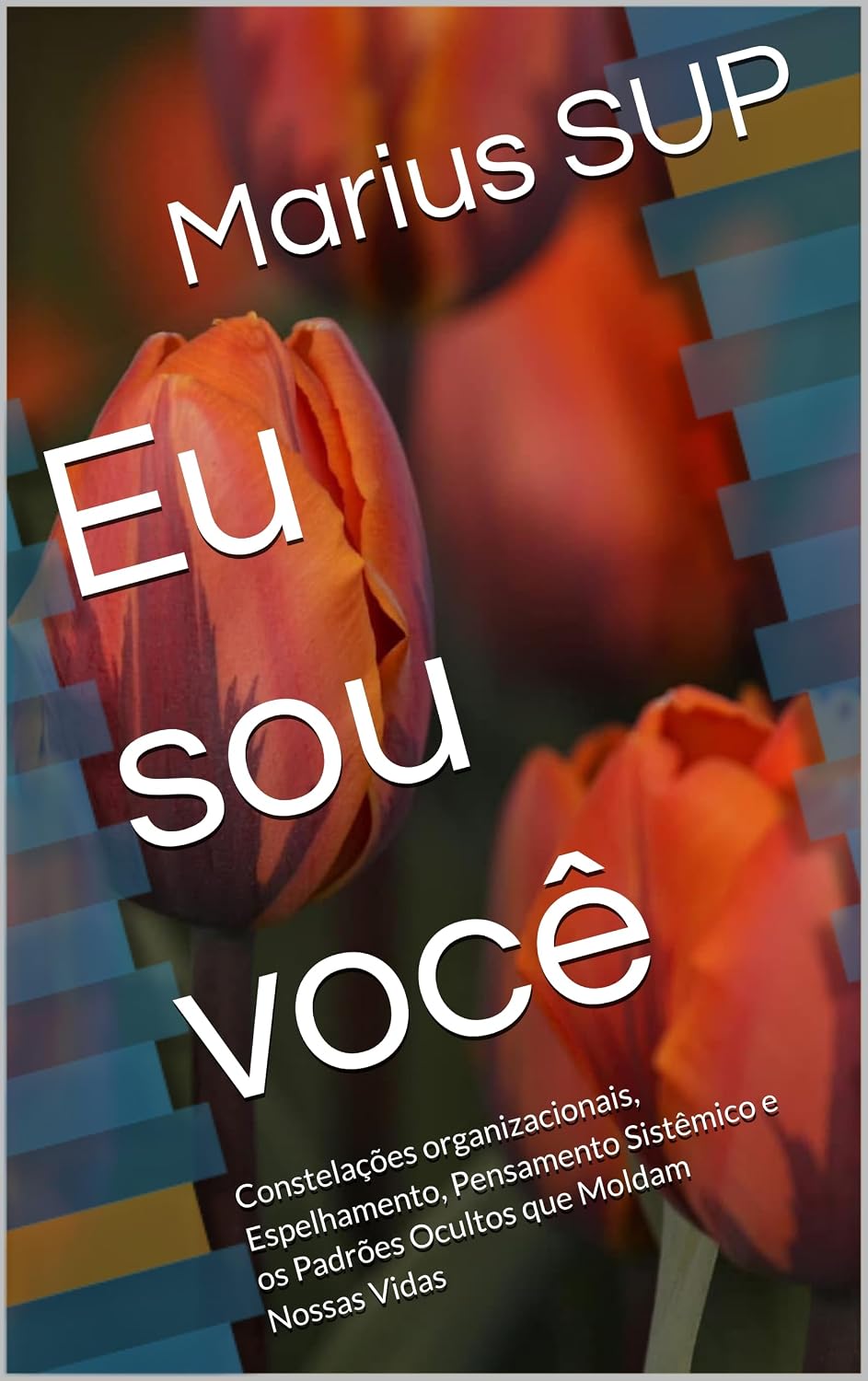 Eu sou você: Constelações organizacionais, Espelhamento, Pensamento Sistêmico e os Padrões Ocultos que Moldam Nossas Vidas (Marius SUP - Books Livro 15) baixar livro de graça