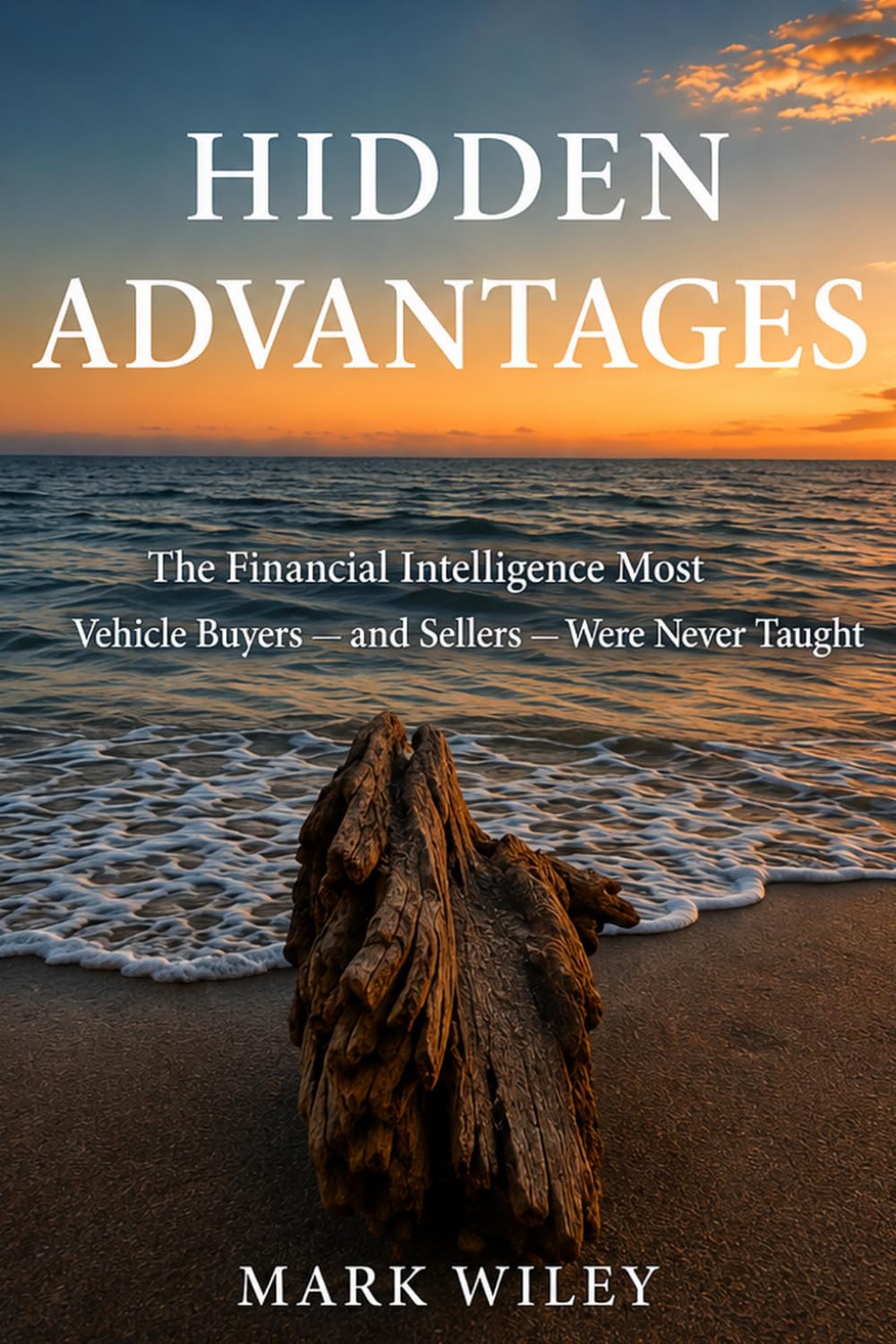 Hidden Advantages: The Financial Intelligence Most Vehicle Buyers - and Sellers - Were Never Taught baixar livro de graça