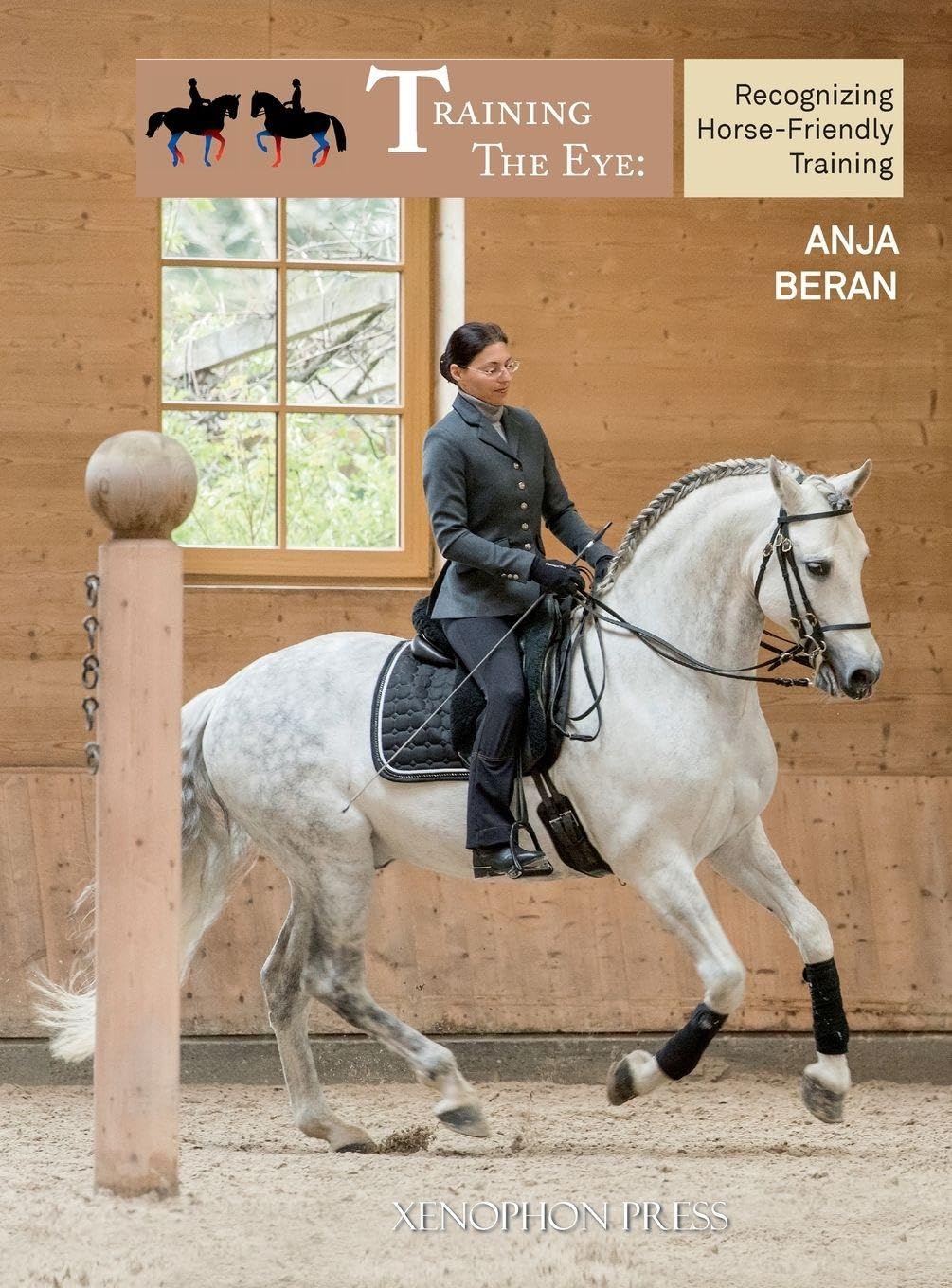Training the Eye: Recognizing Horse-Friendly Training baixar o livro de graça