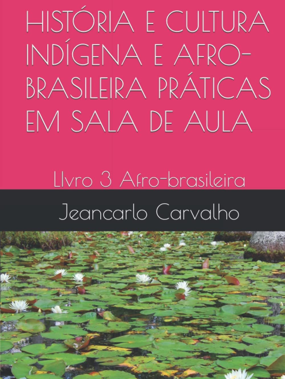 HISTÓRIA E CULTURA INDÍGENA E AFRO-BRASILEIRA PRÁTICAS EM SALA DE AULA: LIvro 3 Afro-brasileira (Portuguese Edition) baixar livro de graça