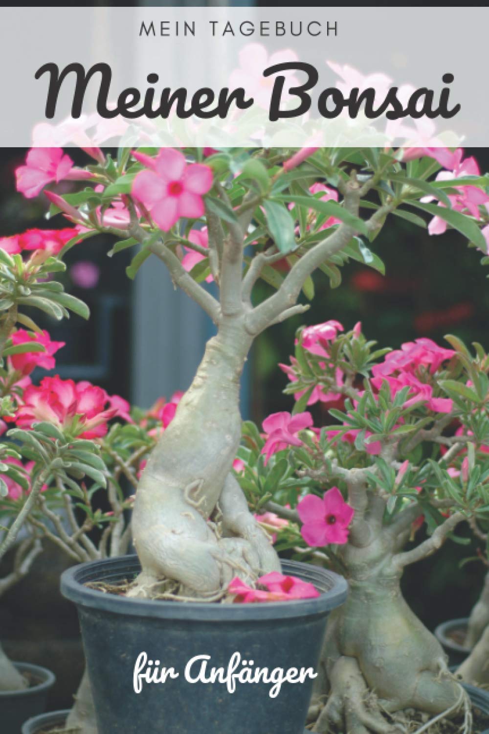 ler totalmente Das Tagebuch meines Bonsais für Anfänger: Diese Zeitschrift ermöglicht es Ihnen, das Wachstum Ihres Bonsai im Laufe der Zeit zu verfolgen. Dies ist ein ideales Logbuch, das Folgendes bietet